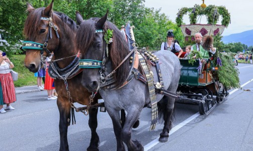 Frühlingsfest der Pferde in Ramsau am Dachstein © Schladming-Dachstein, Michael Simonlehner