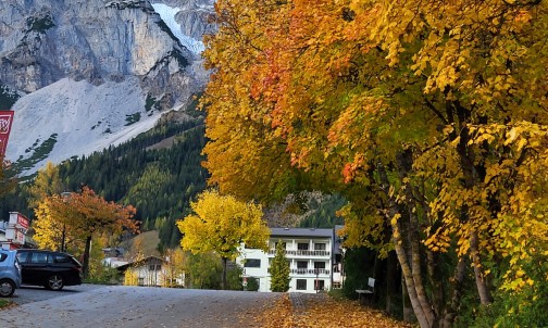 Das Haus Herma mit farbenfrohen Laubbäumen davor