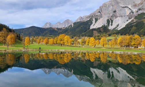 Gelbe Bäume spiegeln sich im Speicherteich