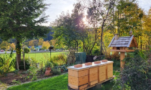 Unsere Bienenstöcke im Garten