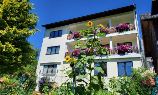 Haus Herma mit wunderbaren Sonnenblumen