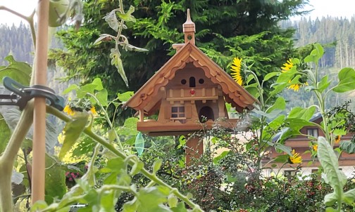 Vogelhäuschen im Garten unseres Appartementshauses