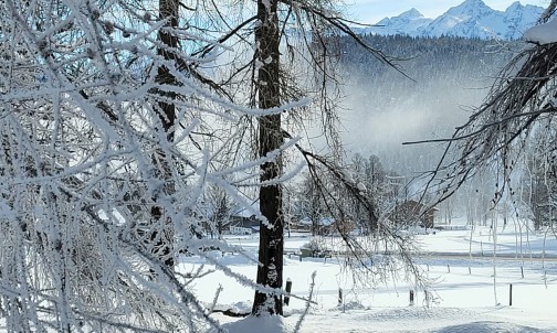 Nebelig, weiß und wunderschön zeigt sich die Winterlandschaft in Ramsau