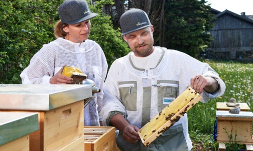 Imker Carina und Sebastian beim Betreuen der Bienenvölker