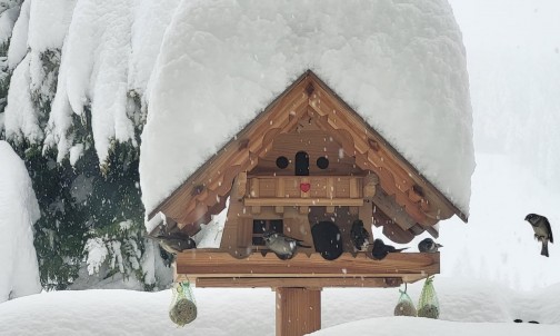 Unser Vogelhaus tief verschneit