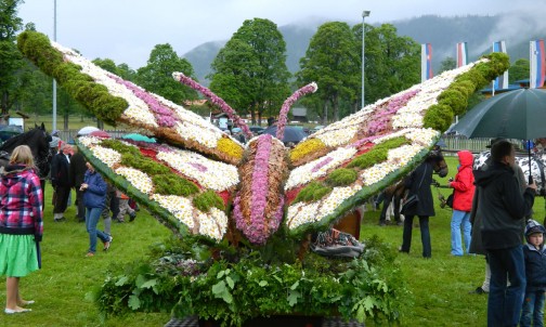 Prächtige Schaustücke aus Frühlingsblumen