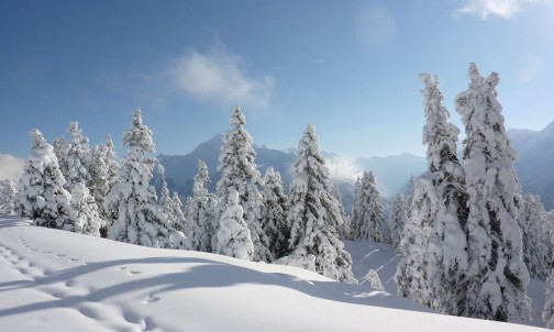 Romantische Winterlandschaften